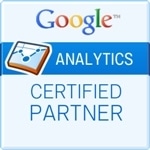 Logo Analytics Partner